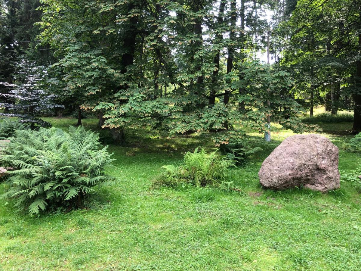 Sloneczne Apartamenty Sokolowsko Bagian luar foto