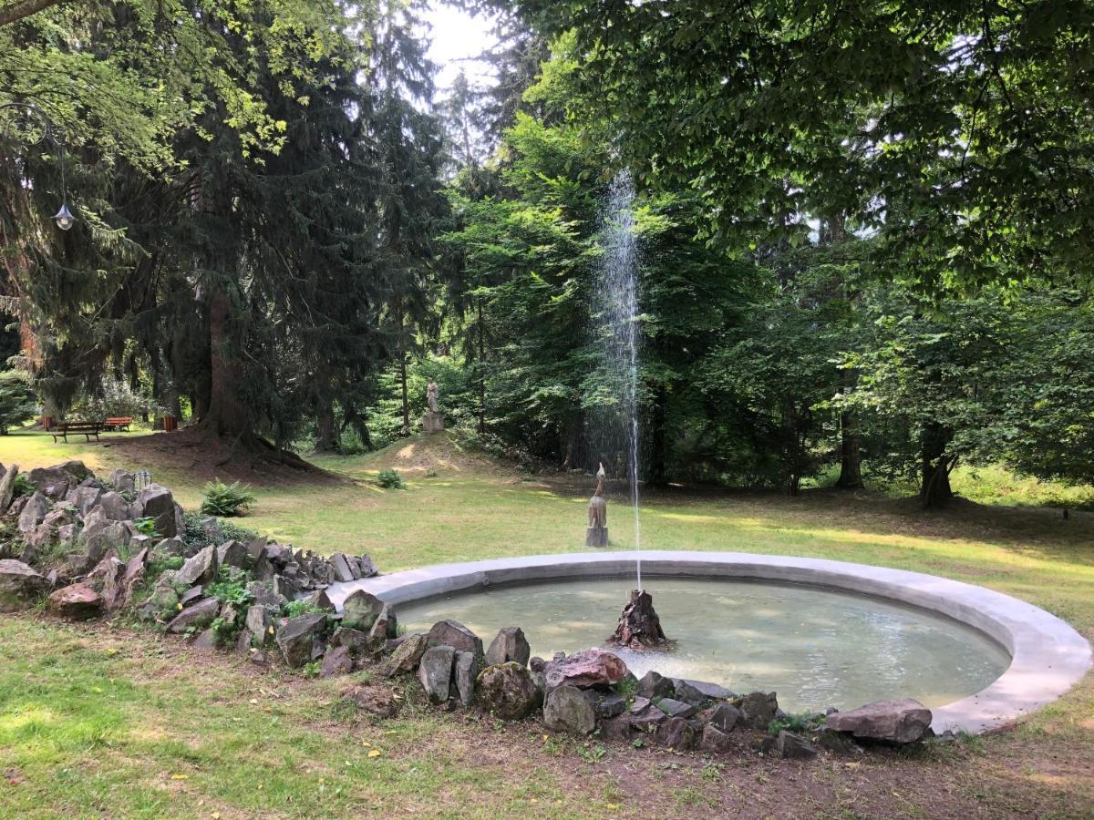 Sloneczne Apartamenty Sokolowsko Bagian luar foto