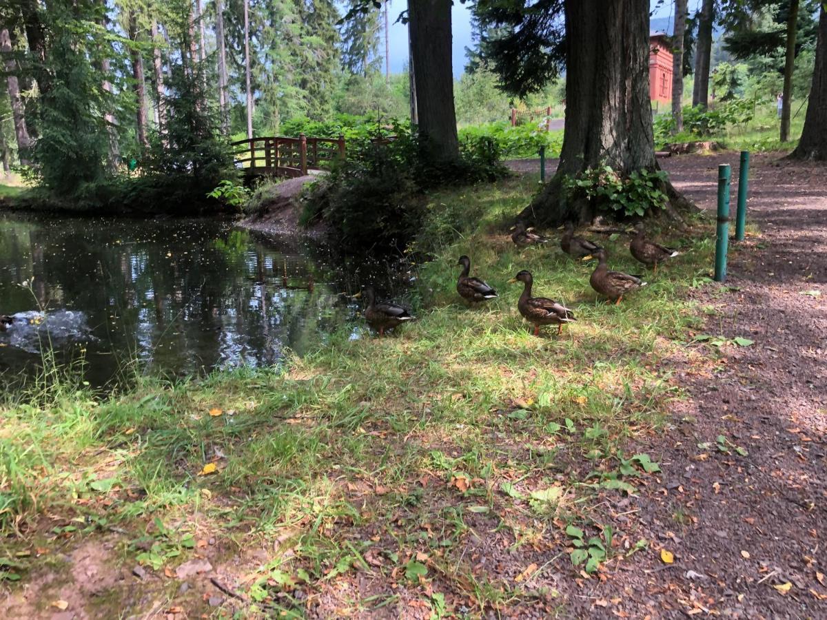 Sloneczne Apartamenty Sokolowsko Bagian luar foto
