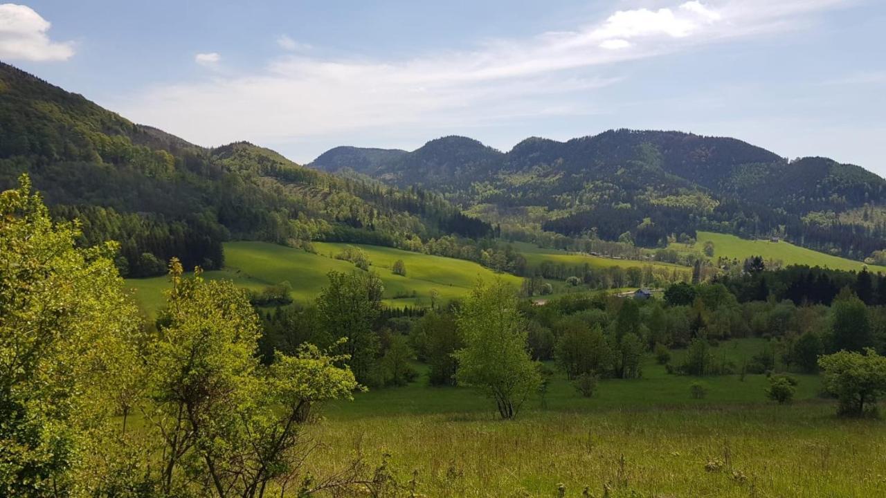 Sloneczne Apartamenty Sokolowsko Bagian luar foto