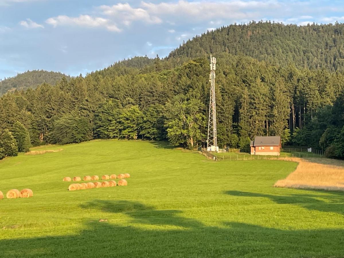 Sloneczne Apartamenty Sokolowsko Bagian luar foto